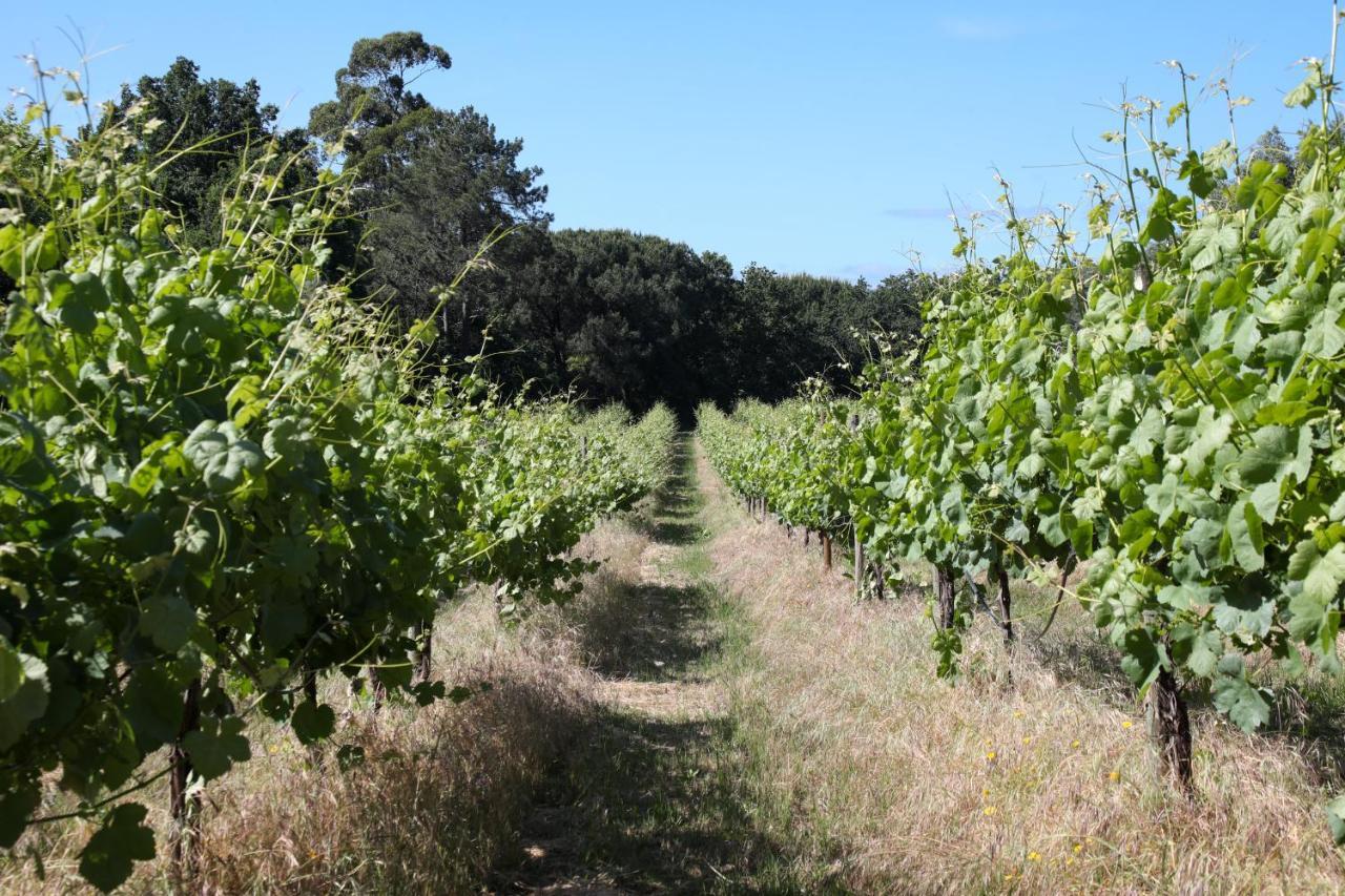 Agroturismo Quinta De Chousas - - *