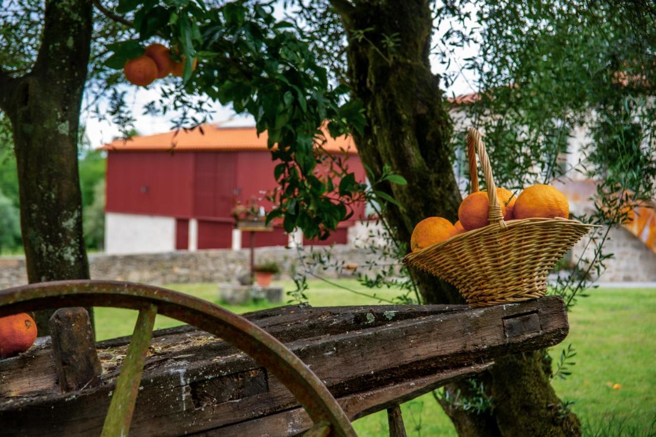 Agroturismo Quinta De Chousas - - Braga