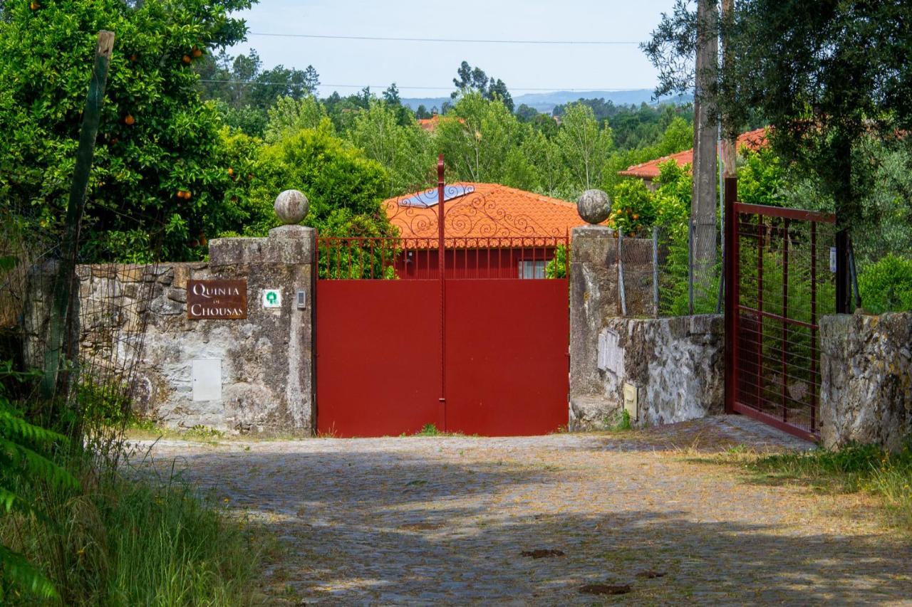 Quinta De Chousas - - Agroturismo